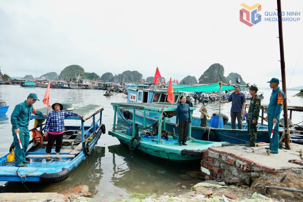 Đê biển từ Quảng Ninh đến Nghệ An được thiết kế chống bão cấp 9-10